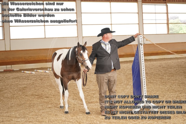 s_A_901328.JPG
